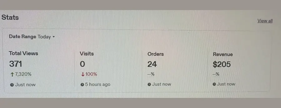 Etsy stats around two hours into the recording: 371 total views, 24 orders, $205 revenue